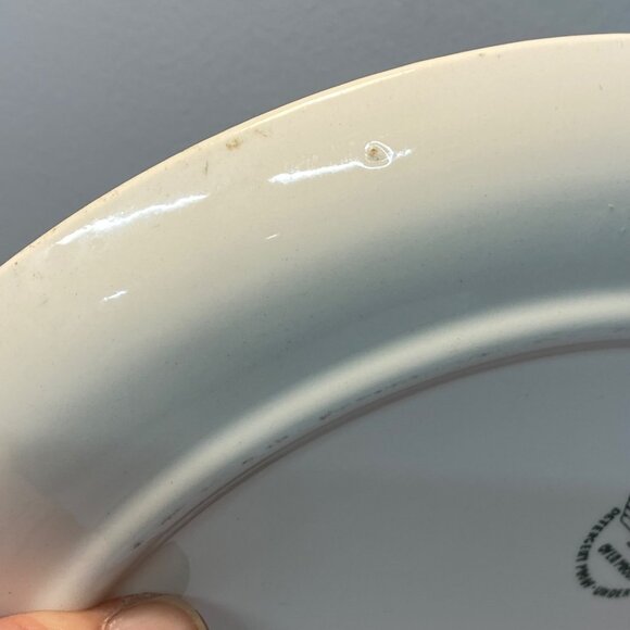 Vintage Stetson Marcrest Dinnerware Misty Pine Cone Dinner Plate 9.5" MCM Retro - Picture 11 of 12